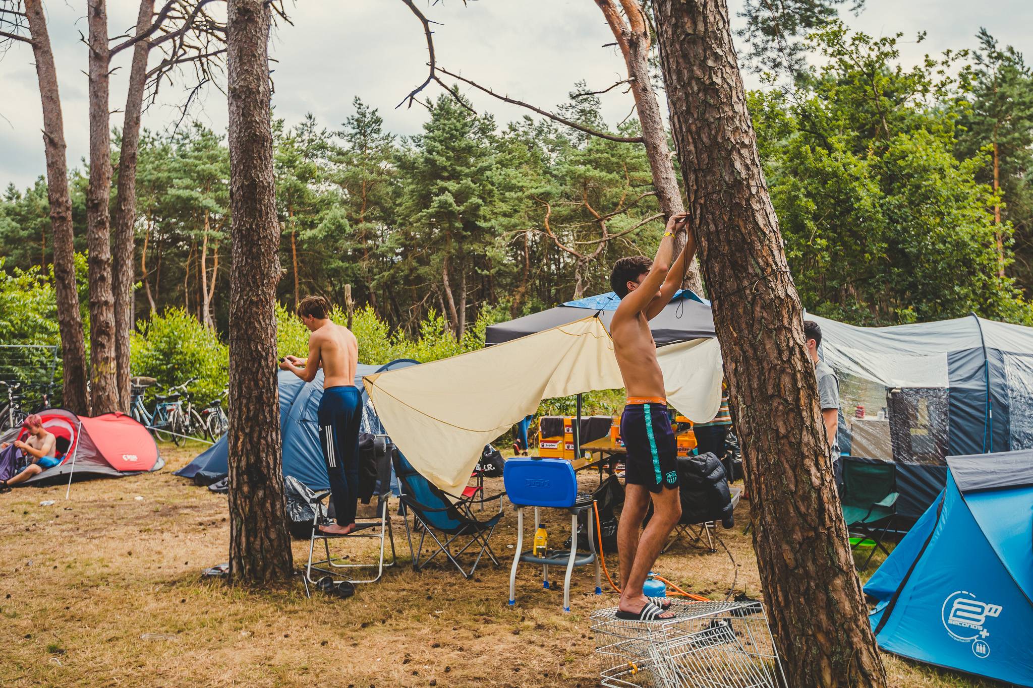 Camping Dennenoord - KAMPEREN gallery