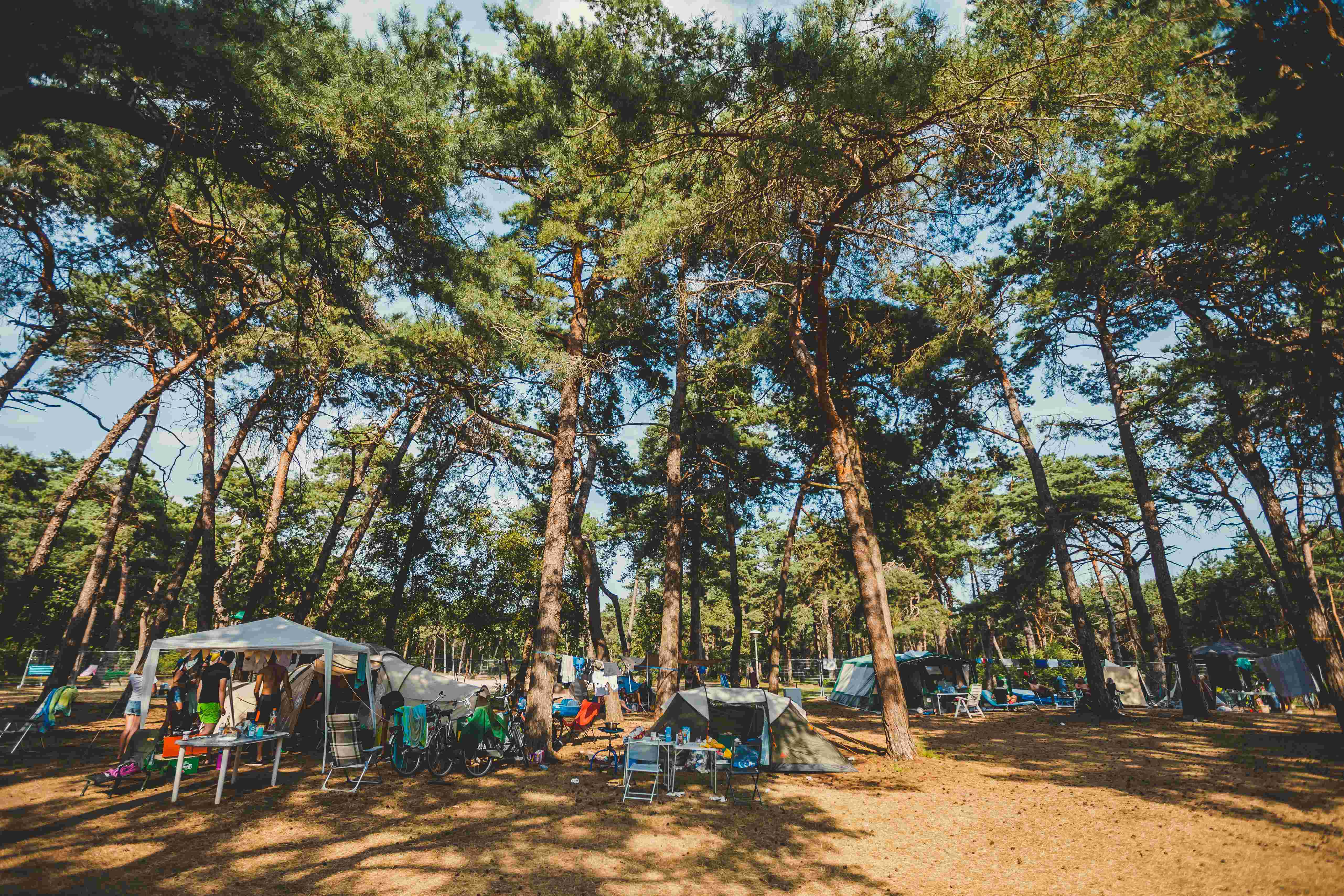 Camping Dennenoord - KAMPEREN gallery