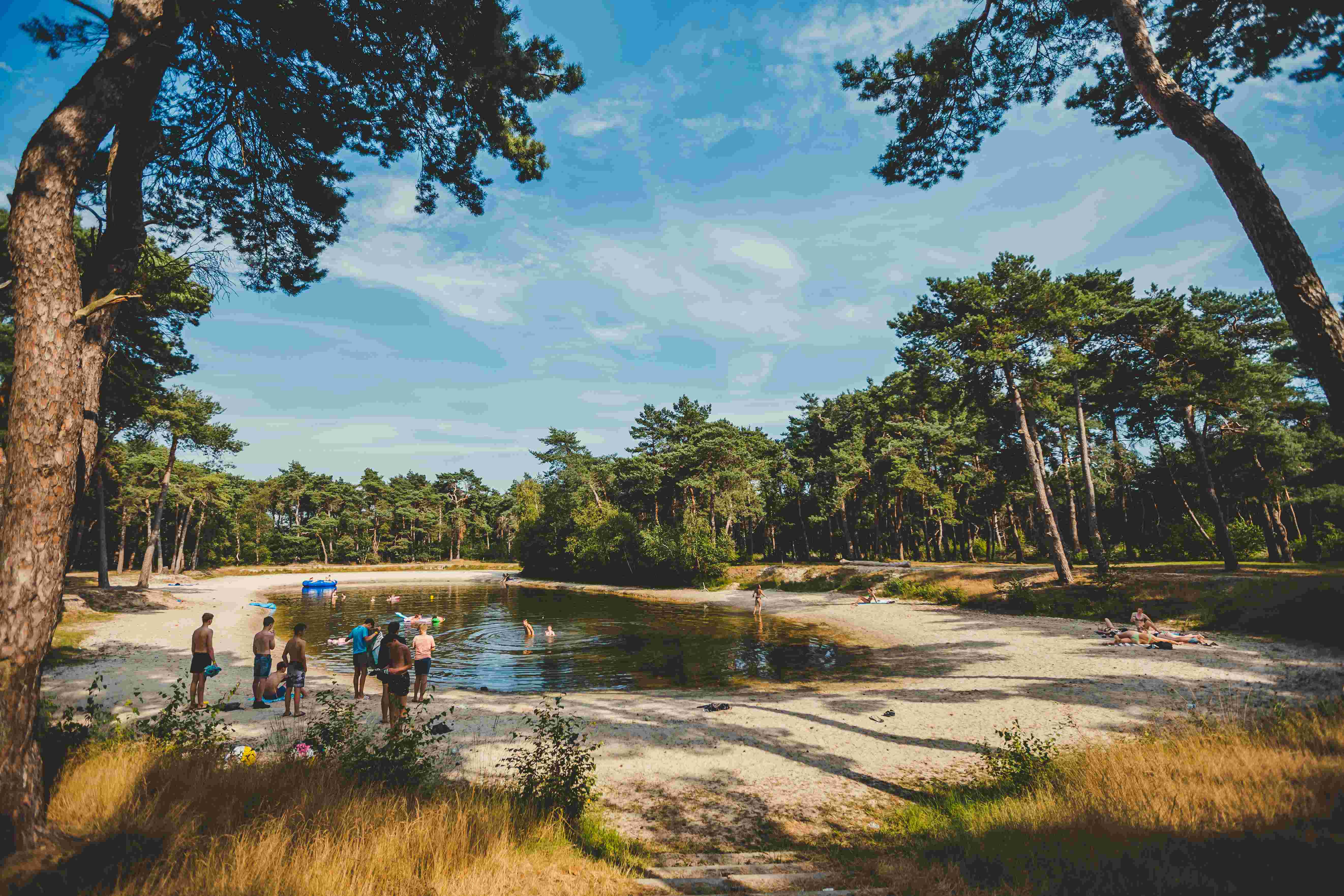 Camping Dennenoord - STRANDBOSMEER gallery